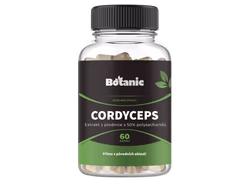 Cordyceps – housenice čínská