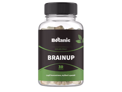 BRAIN UP