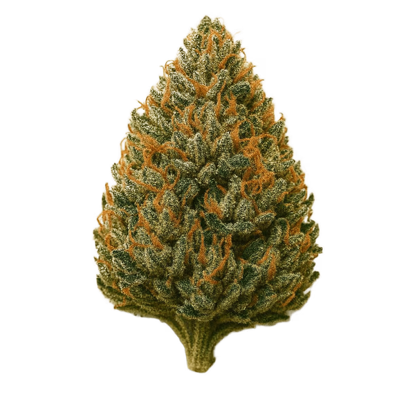 CBD květy OG Kush s intenzivním aroma